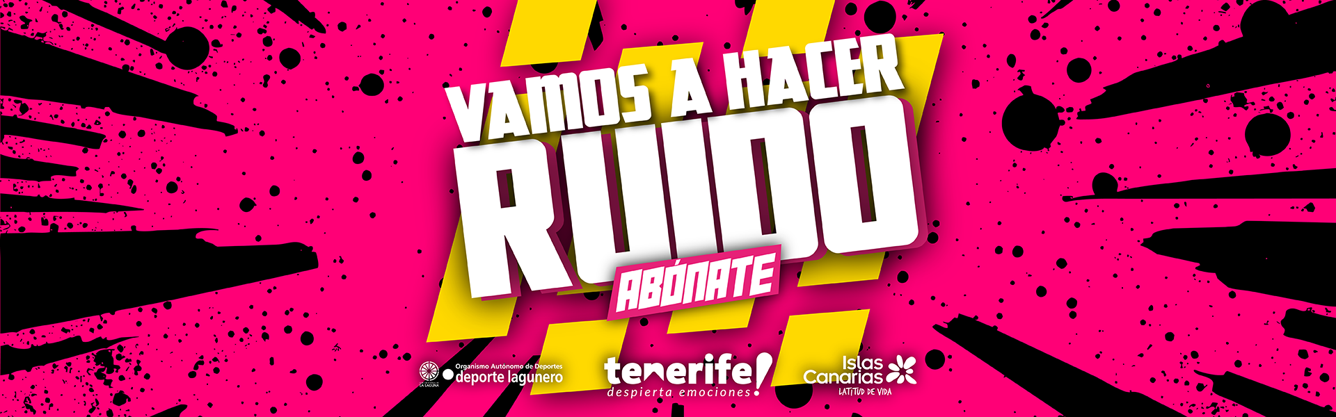 Acceder a la noticia