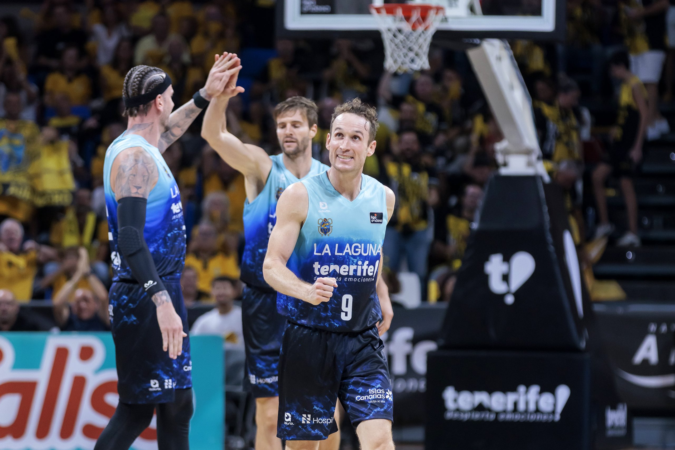 Acceder a la noticia