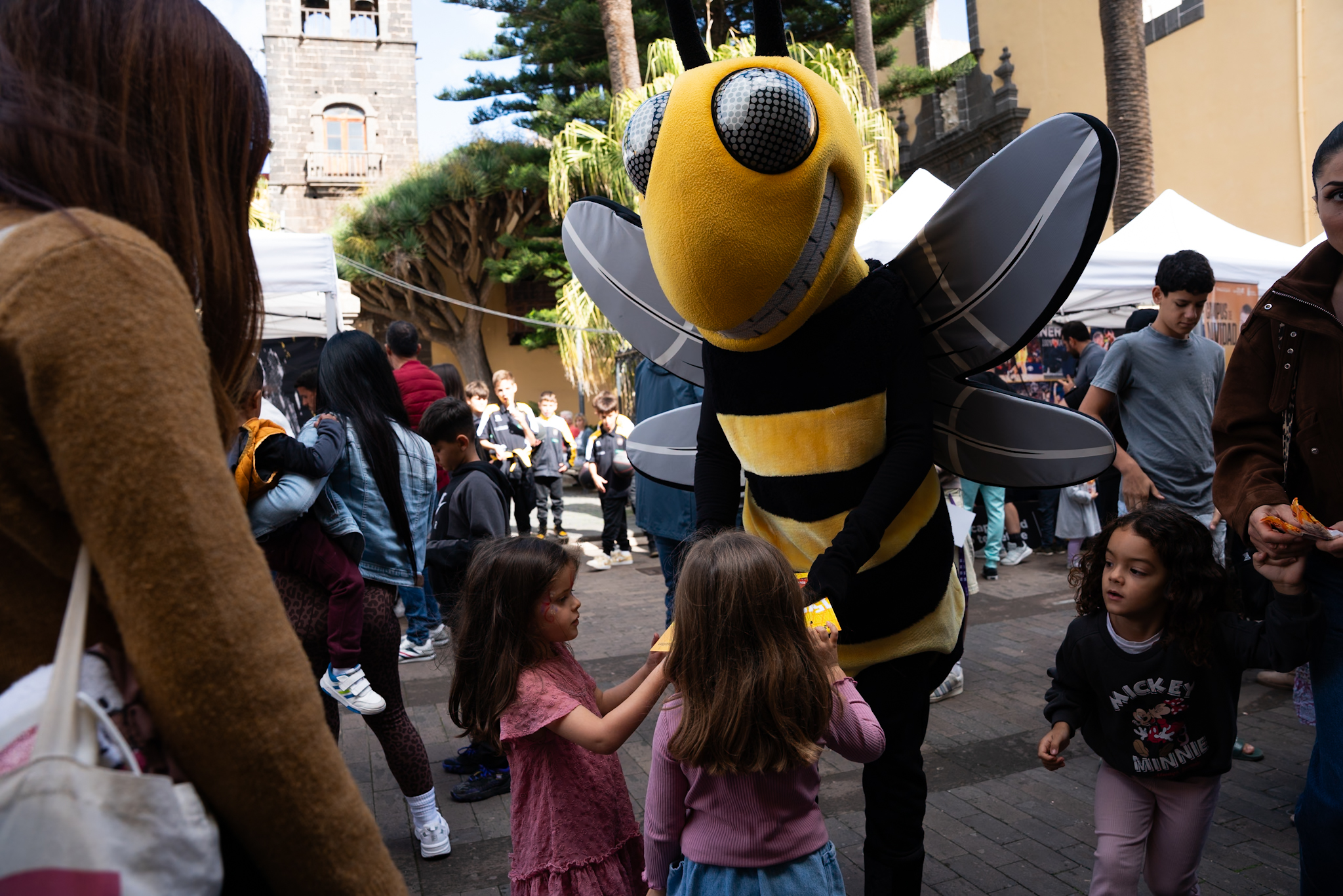 Ir a la noticia Un año más, volcados con La Noche en Blanco