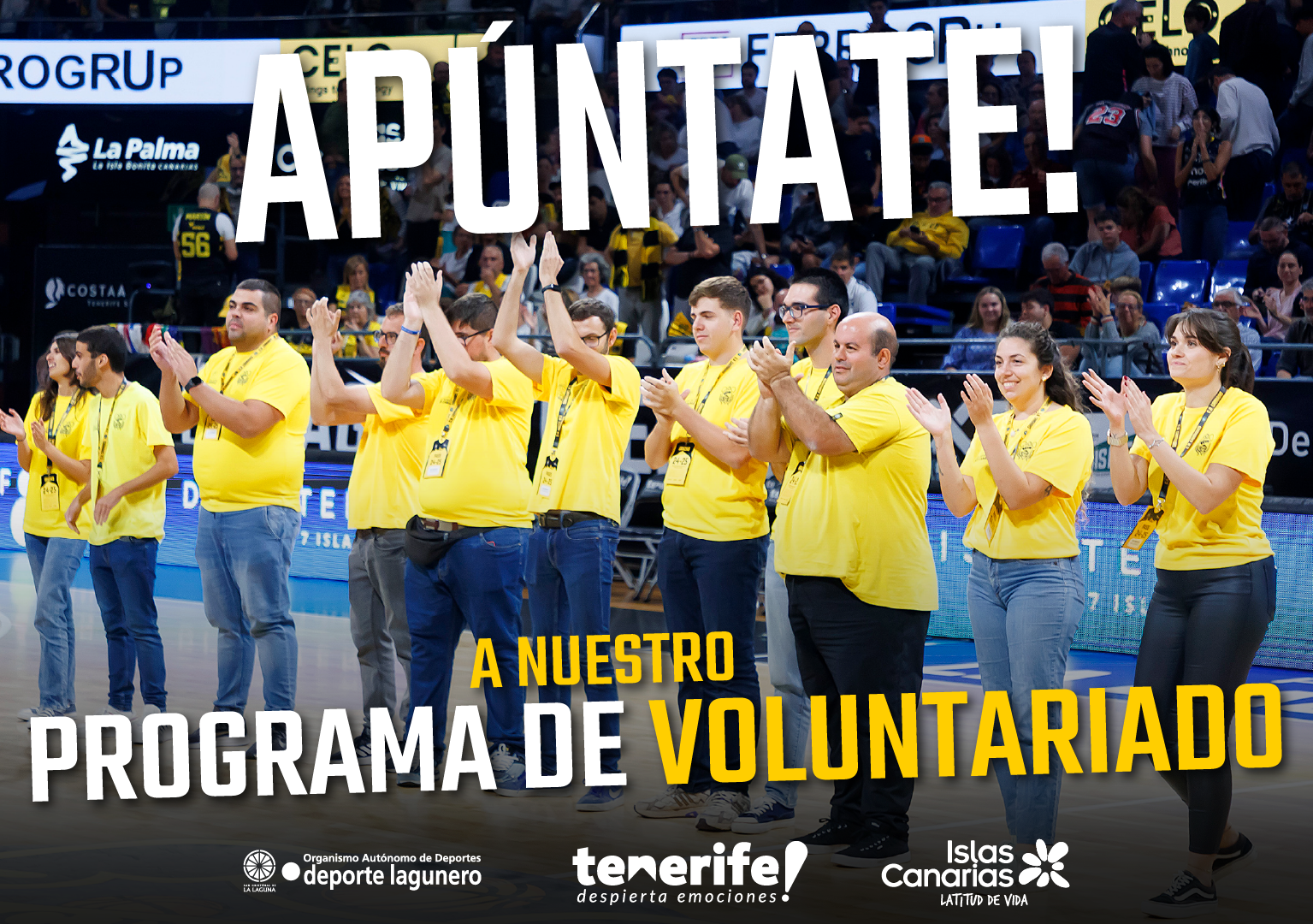 ¡Únete al equipo de voluntarios de La Laguna Tenerife!