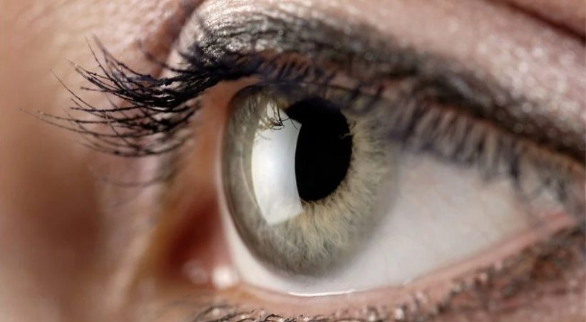 Imagen representativa de Científicos utilizan la impresión 3D