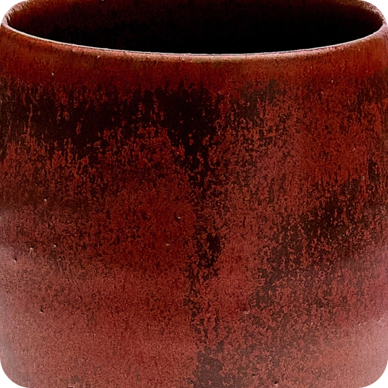 Imagen de Canariensis