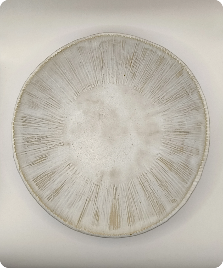 Imagen por defecto para Plato Ovalado 1