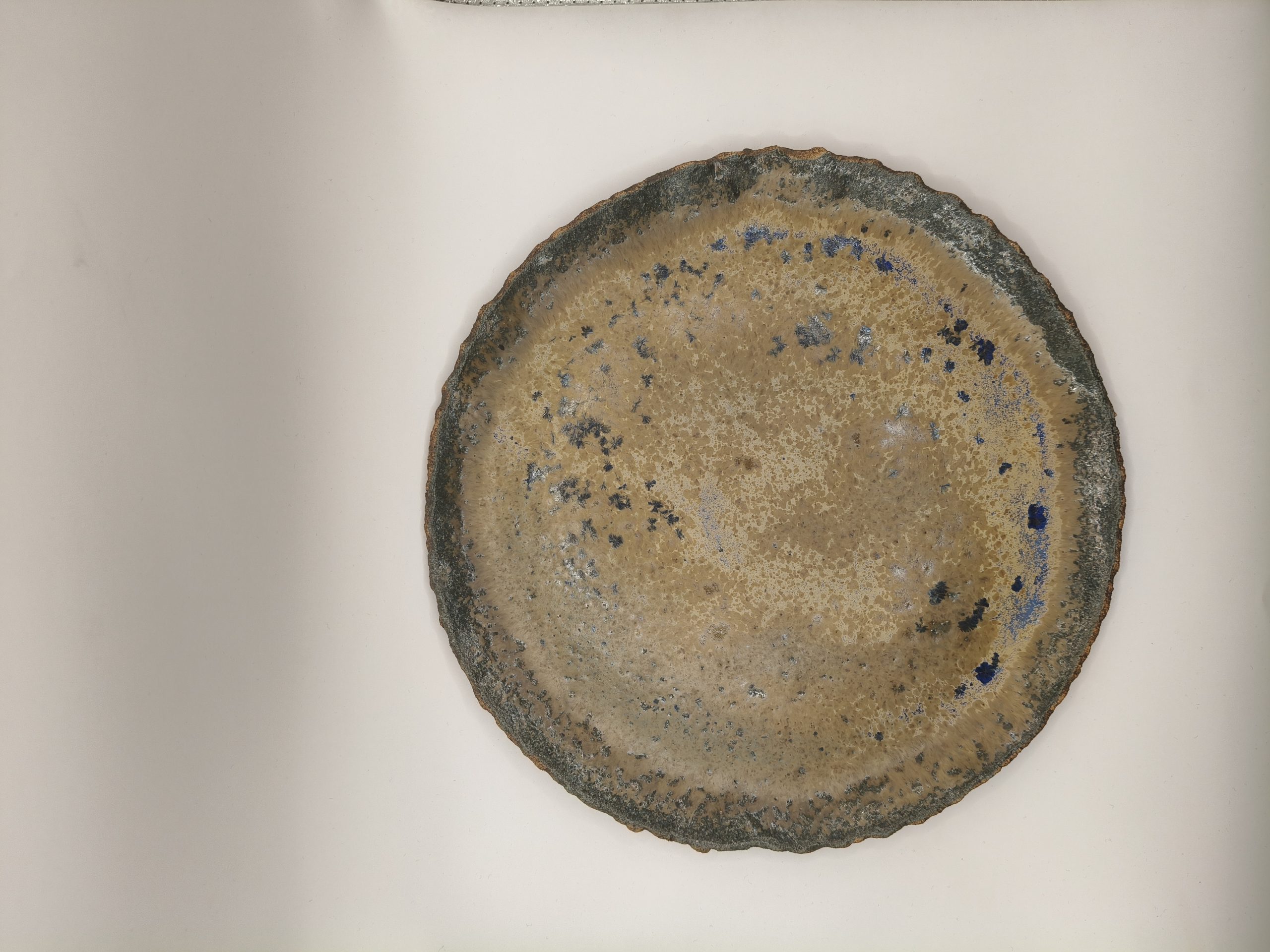 Imagen por defecto para Plato - OCEANIC - Azul - OC006