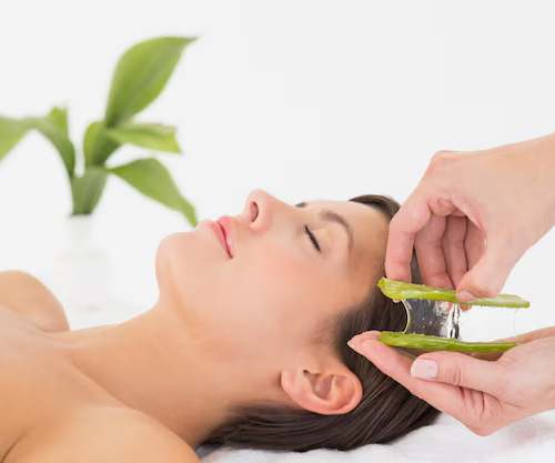 ALOEVERA THERAPY RITUAL + ACCESS TO THE SPA CIRCUIT