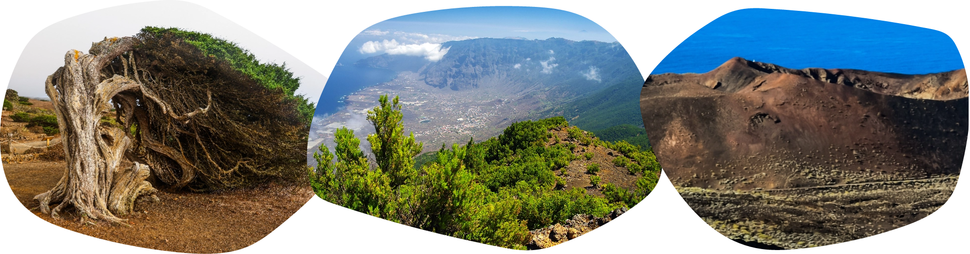 Imagen Grupo-119%402x.png