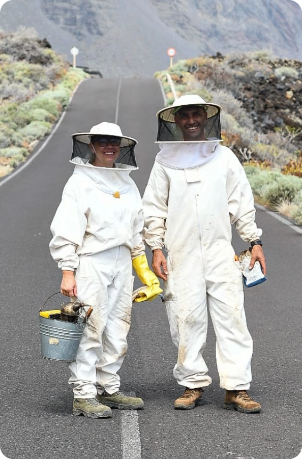 Imagen Enmascarar-grupo-8%402x.png