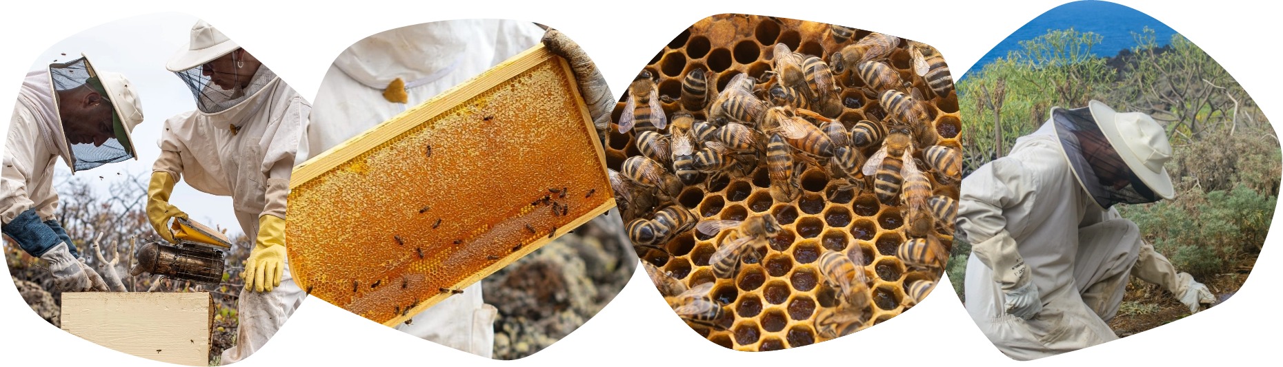 Imagen Grupo-102%402x.png