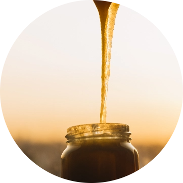 Imagen destacada de CONSUMIR MIEL.