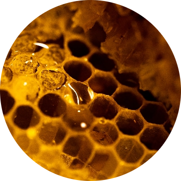 Imagen destacada de SABOREA EL SECRETO DEL MERIDIANO.