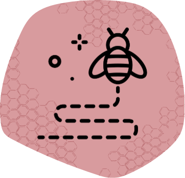 Rutas Guiadas / Experiencias